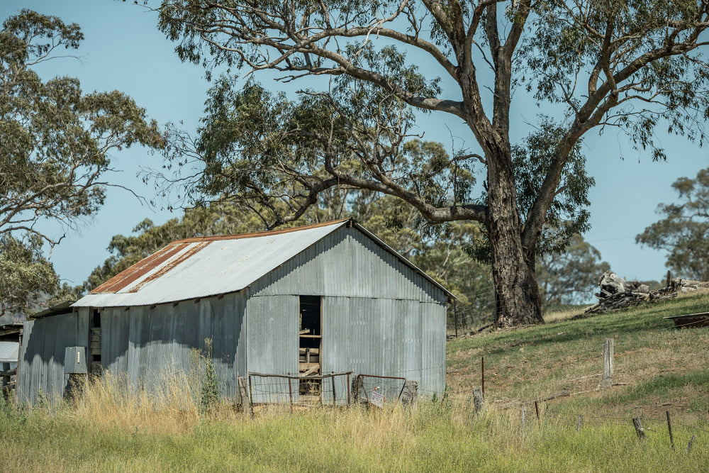 Simple Shed at The Woolshed, corrugated iron walls sit grey and weathered against a gentle slope of dry grass.