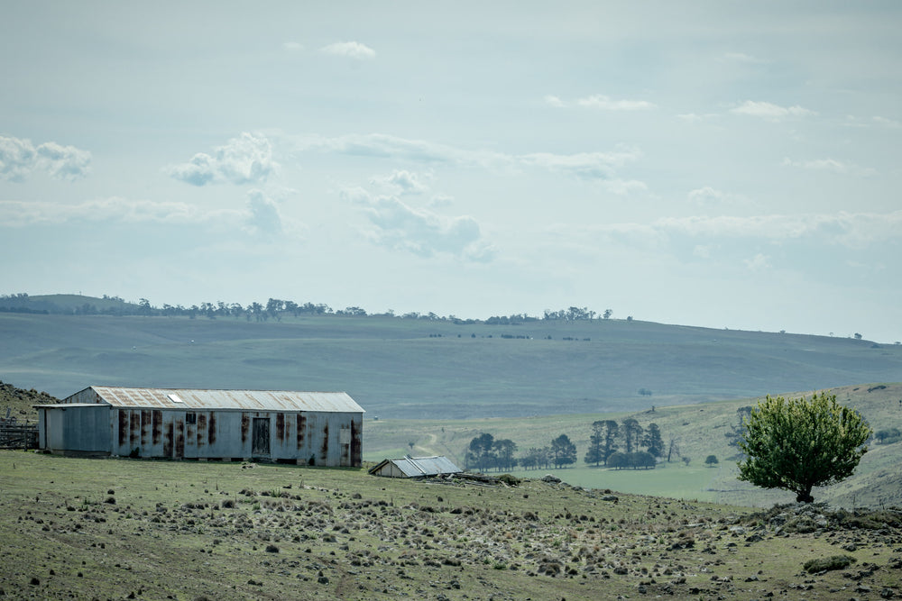 Springvale Woolshed at The Woolshed, a rusting woolshed overlooking a hazy valley in Springvale.
