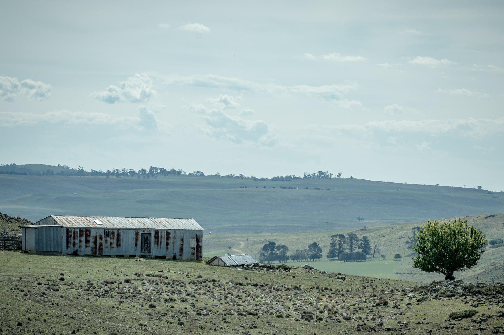 Springvale Woolshed at The Woolshed, a rusting woolshed overlooking a hazy valley in Springvale.
