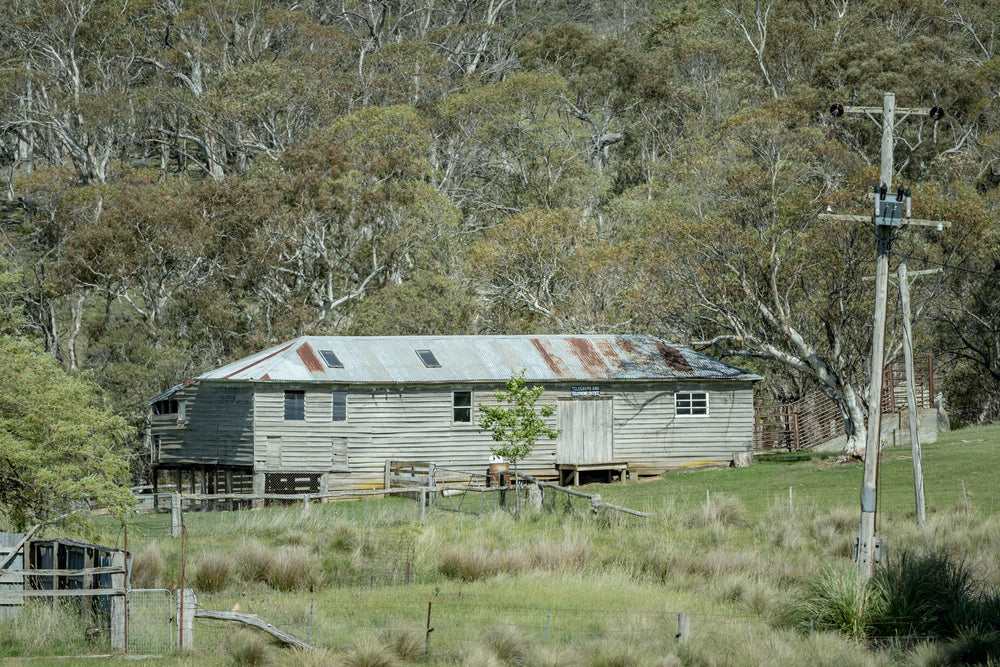 Telegraph And Telephone Office at The Woolshed, a weatherboard building sits low in a clearing, its corrugated iron roof.