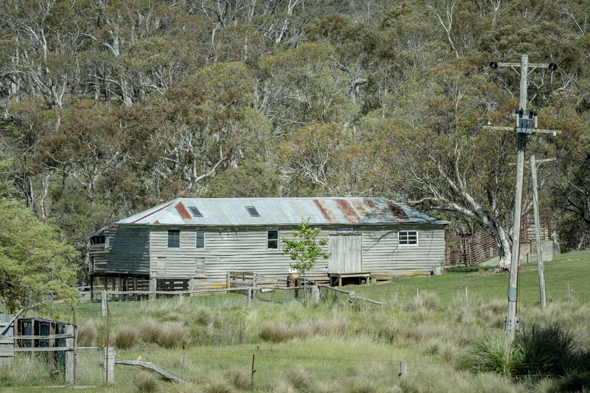 Telegraph And Telephone Office at The Woolshed, a weatherboard building sits low in a clearing, its corrugated iron roof.