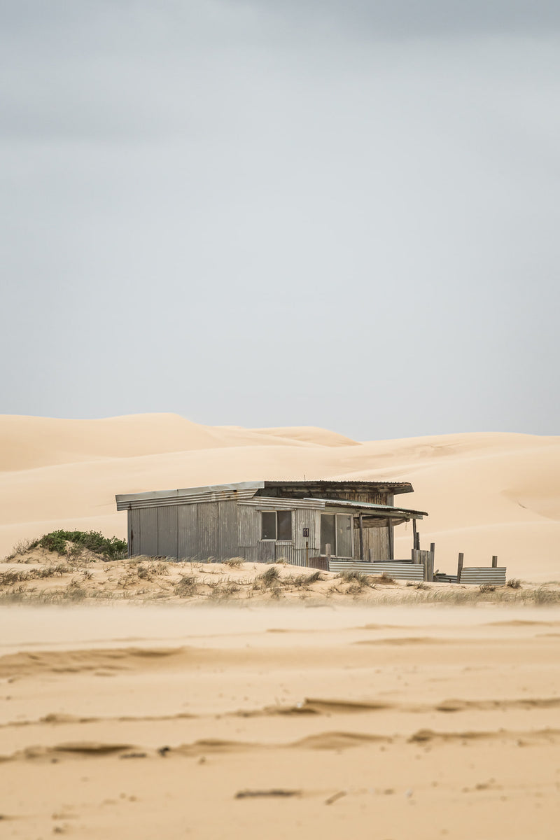 Deserted at Tin City, a portrait image of shack Eleven.