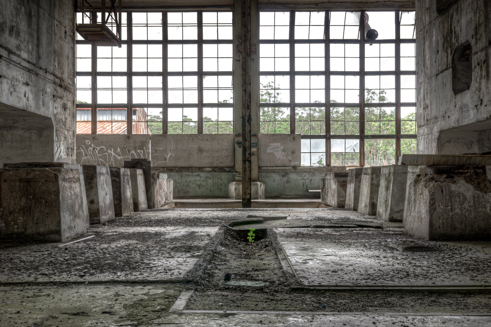 Nature Always Finds a Way at Wangi Power Station, concrete turbine plinths stand in two rows inside the main hall at Wangi Power Station.