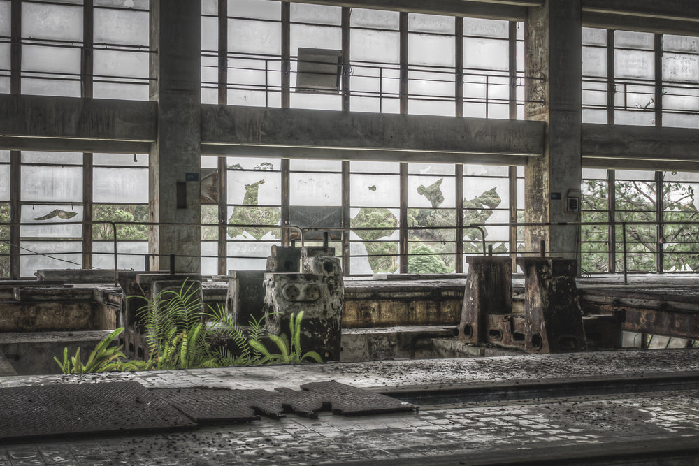 Pedestal Looking Out Towards Switch Yard at Wangi Power Station, amidst the rusted remains of industry, a lone fern emerges.