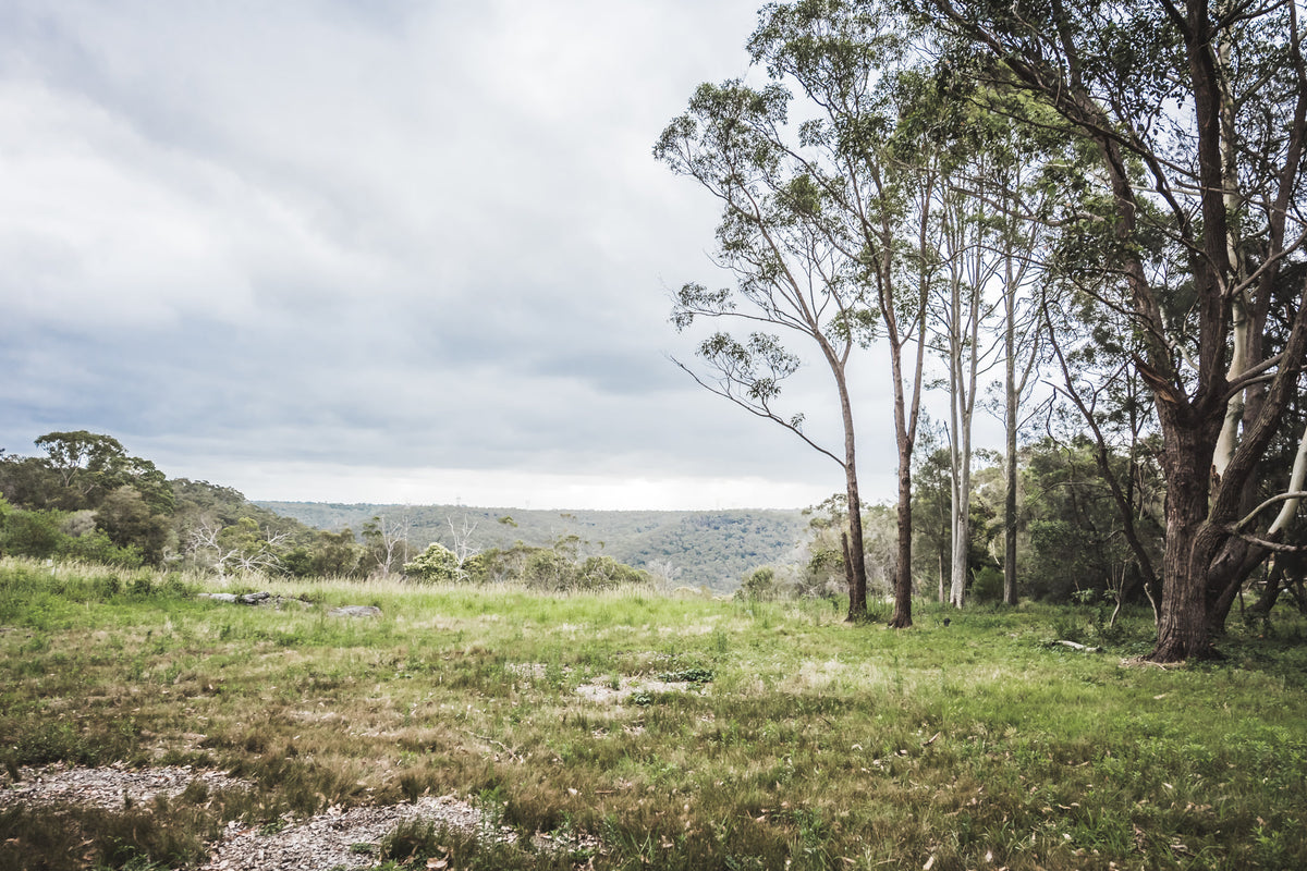 Ku Ring Gai Chase | Waratah Park