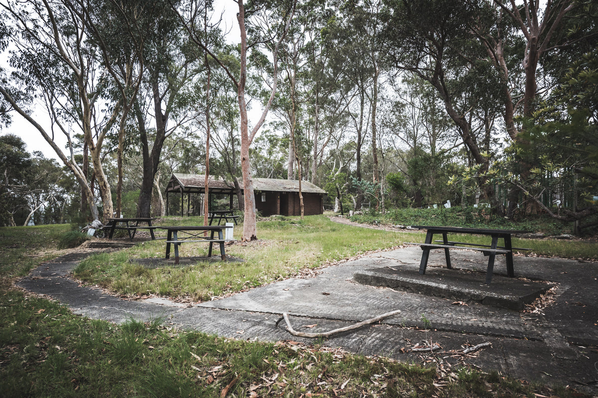 Picnic Grounds | Waratah Park