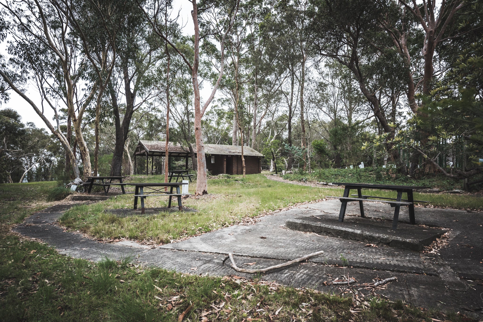 Picnic Grounds