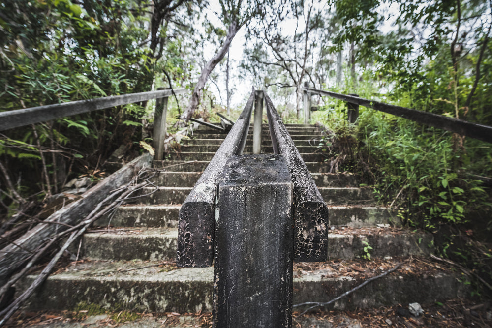 Stairs | Waratah Park Fine Art Print - Lost Collective Shop