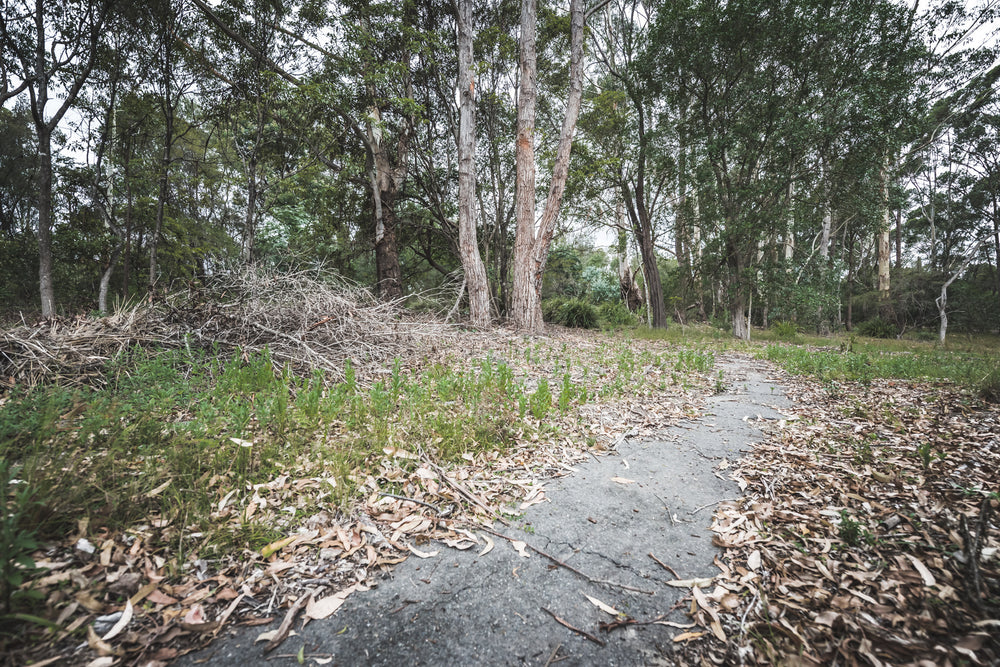 Walkway | Waratah Park