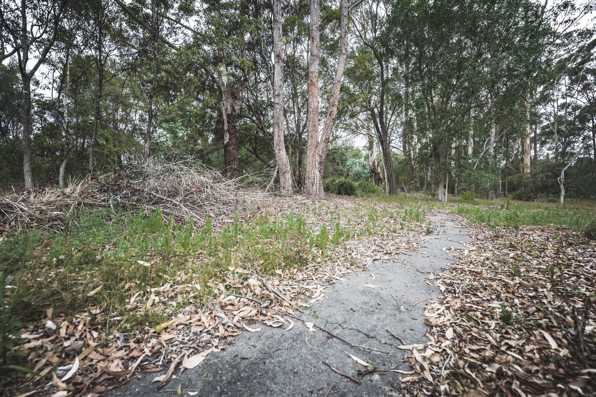 Walkway | Waratah Park