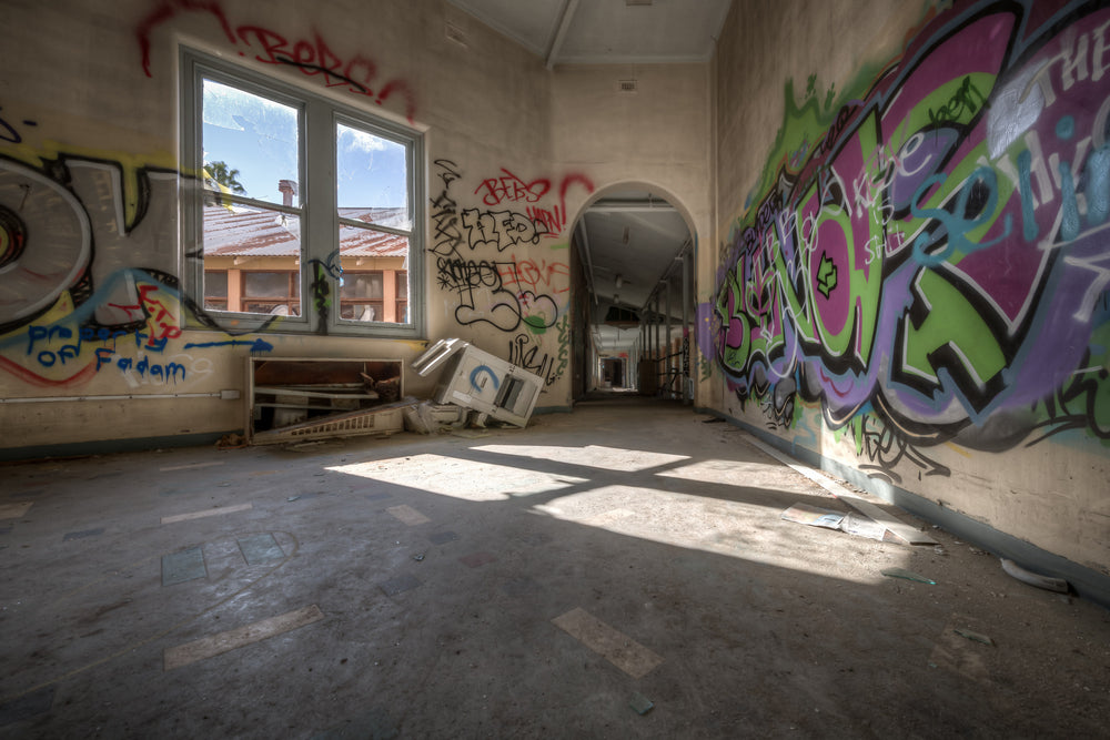 Colour Room at Waterfall Sanatorium, sunlight cuts through a pair of tall windows and falls across a bare concrete floor.