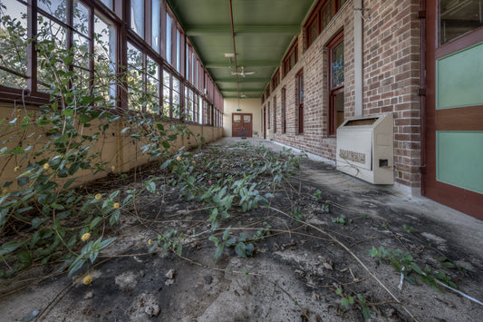 Encroach | Waterfall Sanatorium Fine Art Print - Lost Collective Shop