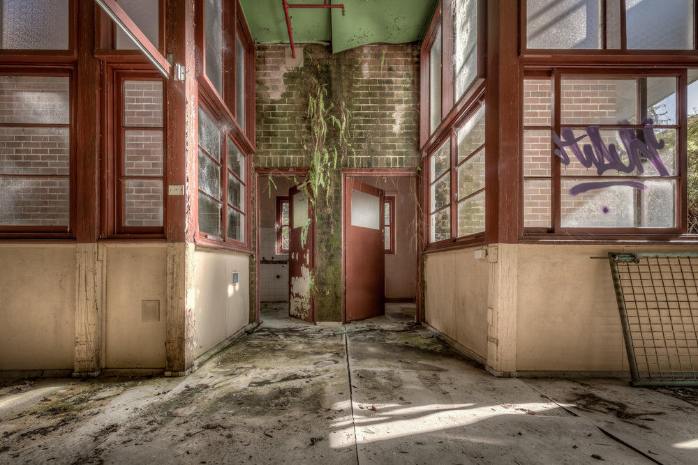 Hanging Garden at Waterfall Sanatorium, a fern growing in brickwork between two bathroom doors.