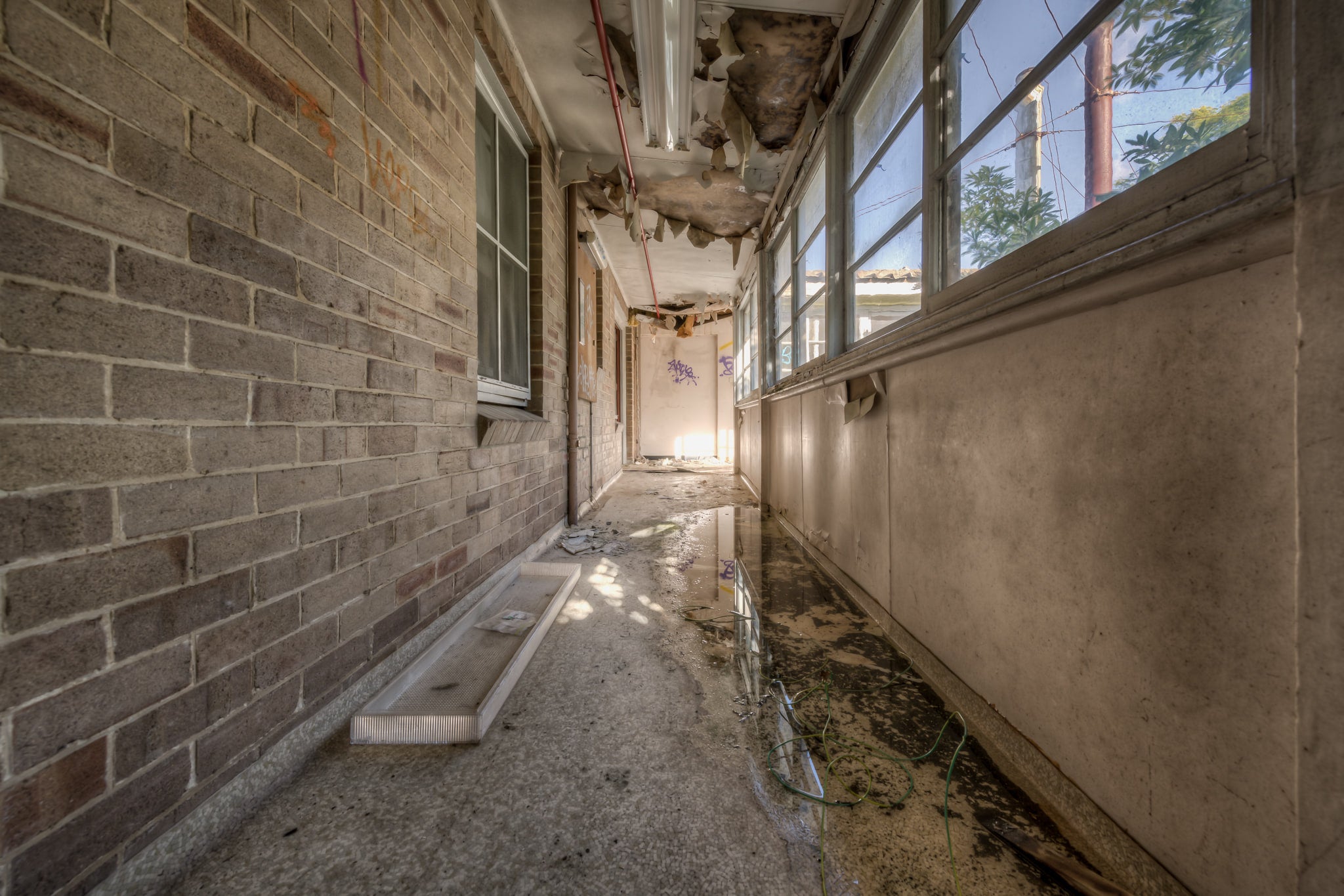 Side Hall at Waterfall Sanatorium, a narrow enclosed corridor runs between a brick wall and a bank of steel-framed windows.