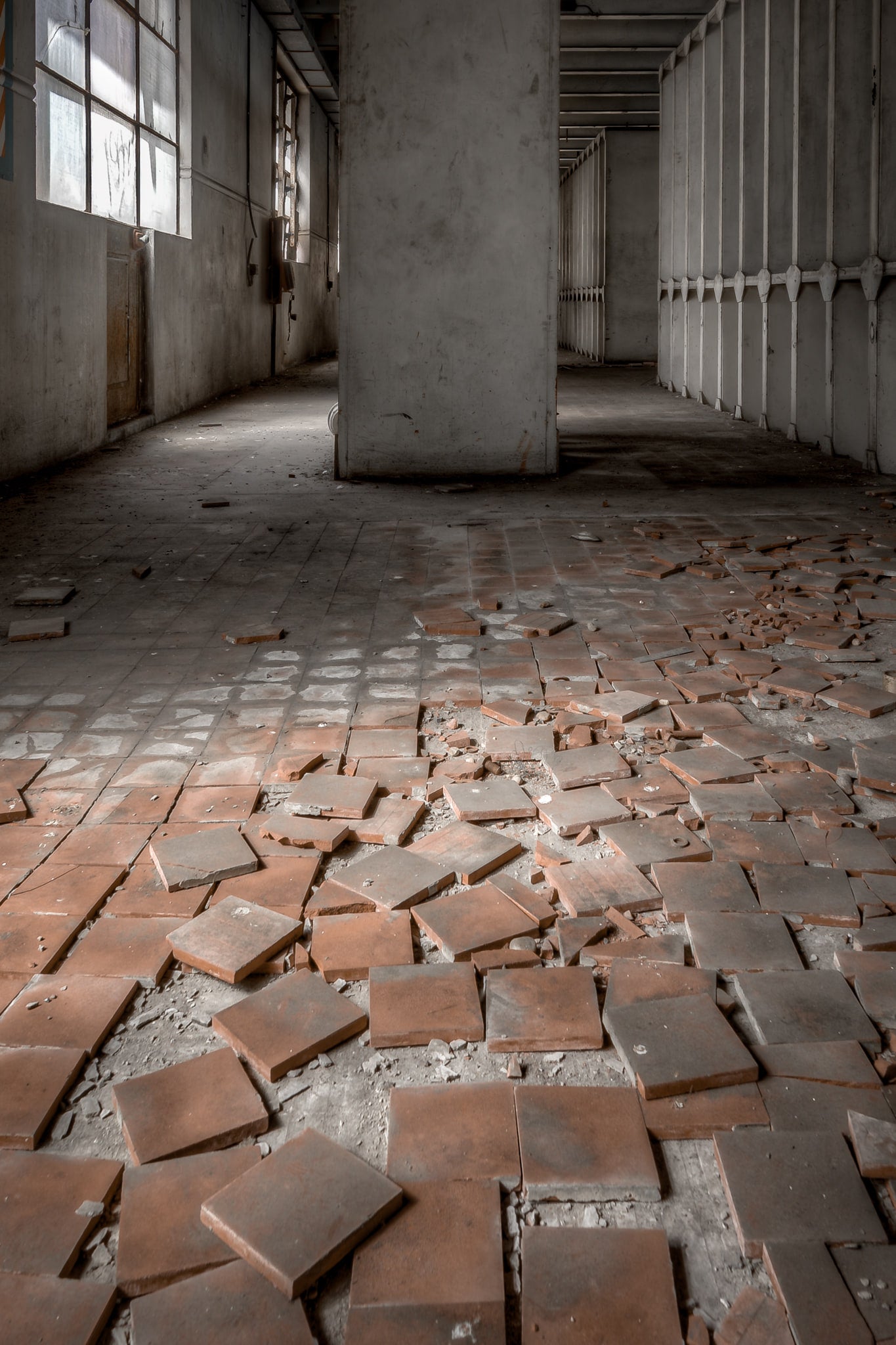 Reactor Room Tiles at White Bay Power Station, the tiles seem to resist their own undoing.