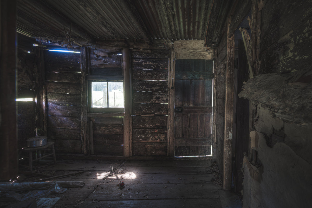 Back Door