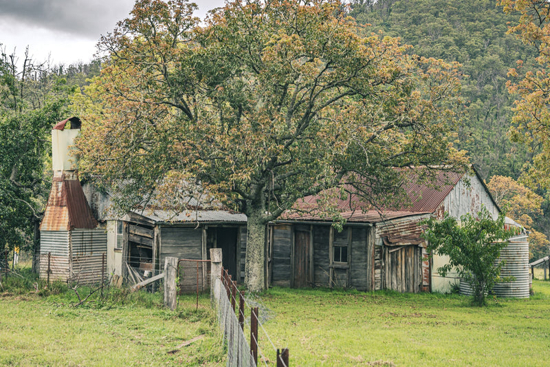 A weathered timber and corrugated iron farmhouse at Woolla, seen behind a large tree in autumn colour, with rusting roof sheets, a tall metal chimney flue, and galvanised tanks, forested hills in the background.