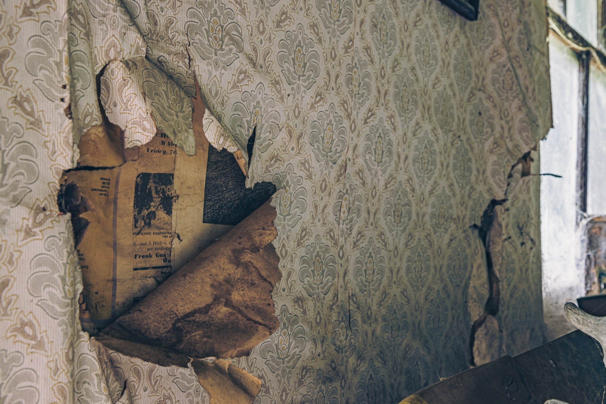 Peeling patterned wallpaper inside a slab hut at Woolla, revealing yellowed newsprint with livestock sale advertising and the partial name Frank Ganz, with a window and damaged plaster visible to the right.