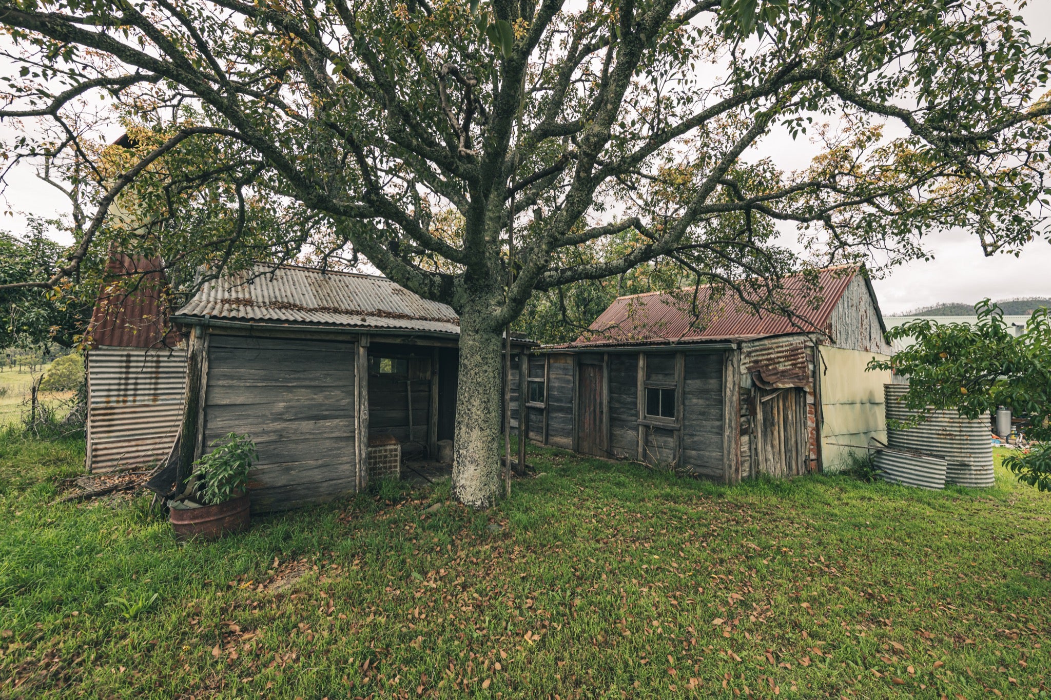 Two weathered timber sheds with corrugated iron roofs beneath a bare-limbed tree at Woolla, Deua River Valley, with a windowed lean-to and two corrugated water tanks to the right.