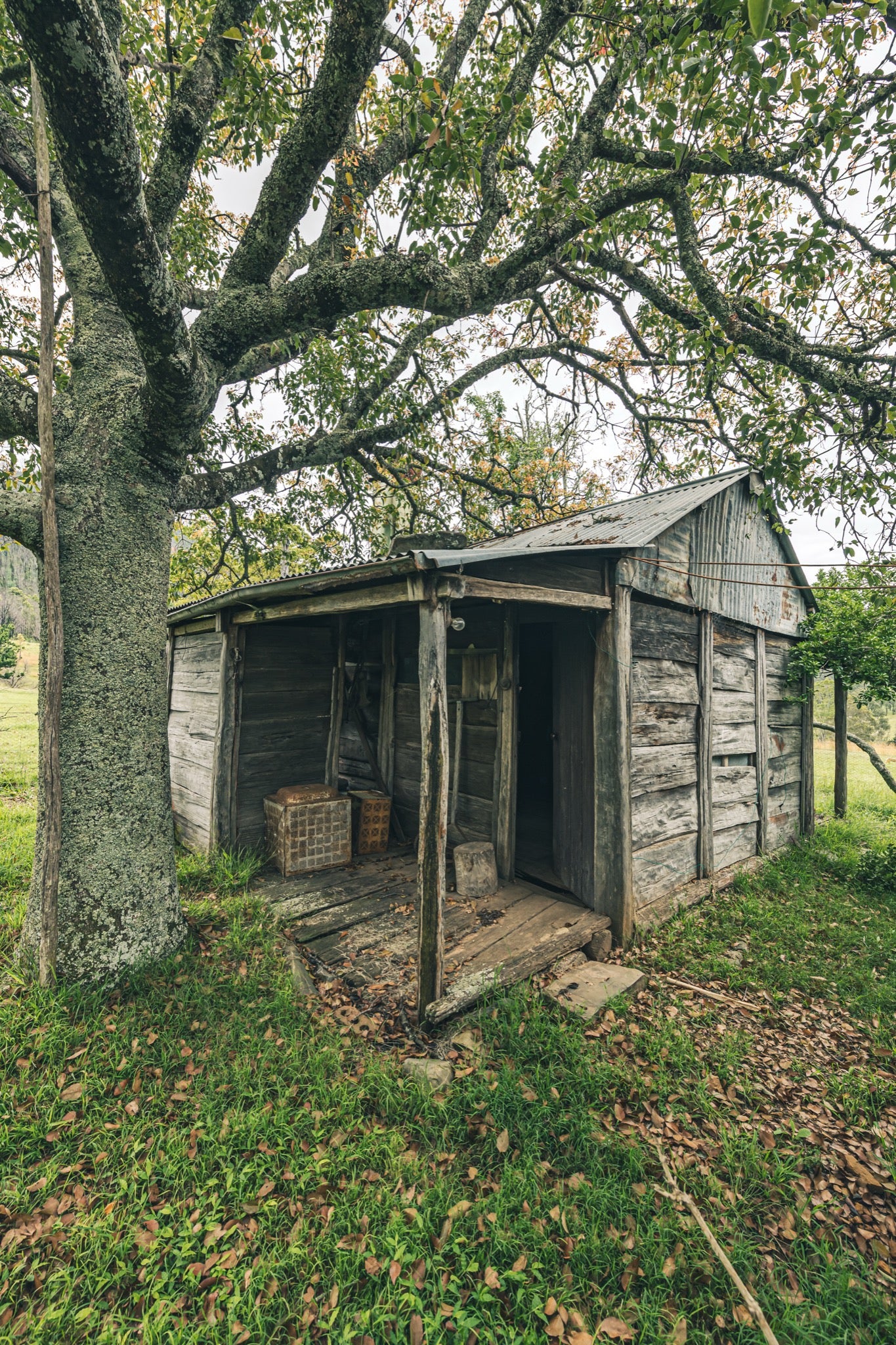 A weathered timber slab hut with a corrugated metal gable roof and a covered porch at Woolla, near Braidwood, with a woven basket, tin box and low stool at the entrance.