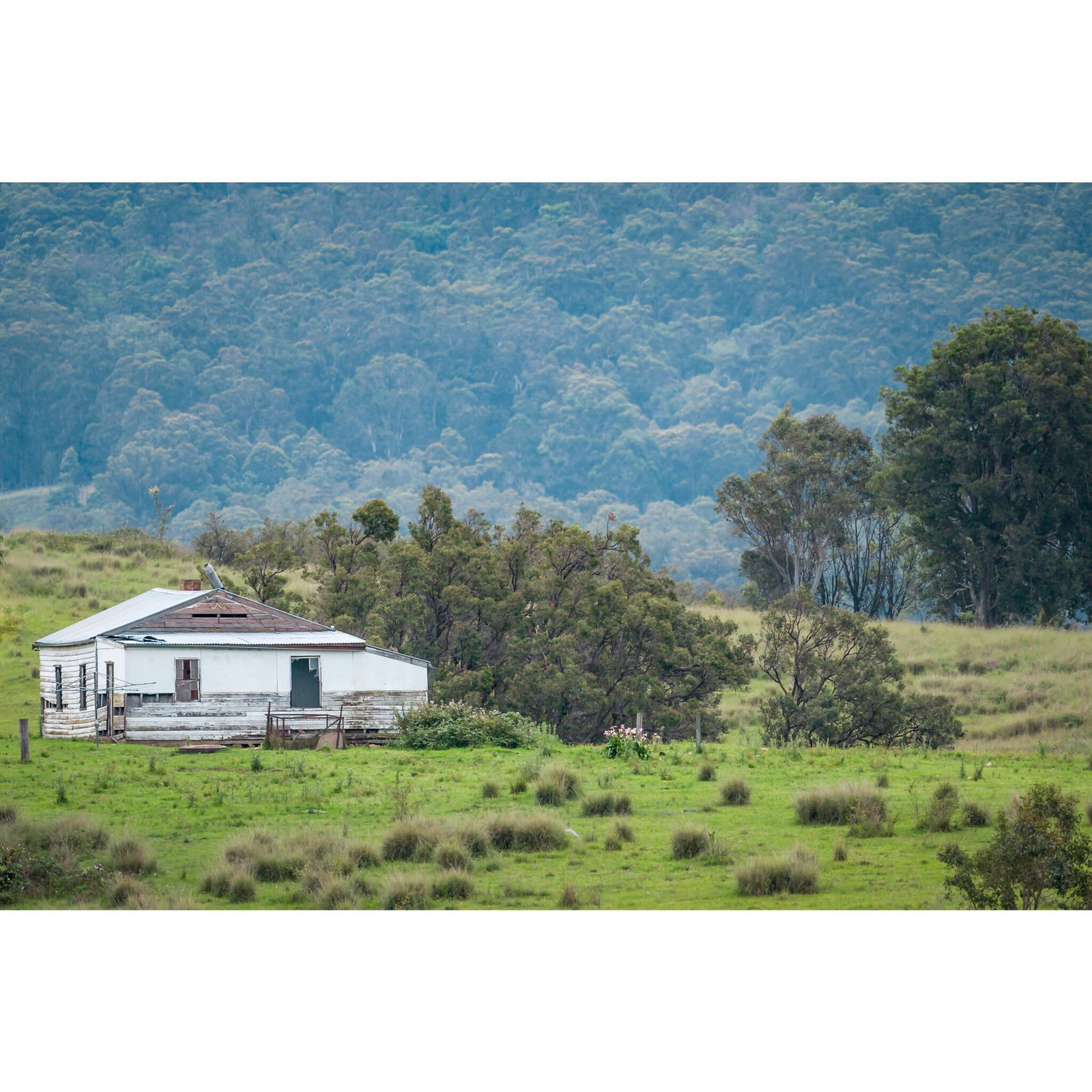 Bemboka Blues | A Place to Call Home Fine Art Print - Lost Collective Shop