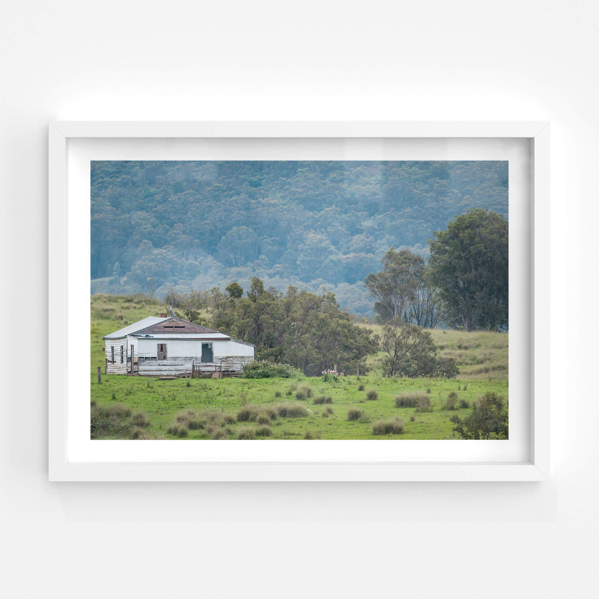 Bemboka Blues | A Place to Call Home Fine Art Print - Lost Collective Shop