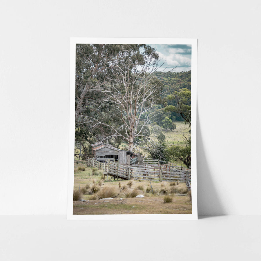 Cattle Yard at A Place to Call Home, a disused cattle yard¬†on the side of Mt Darragh Road.