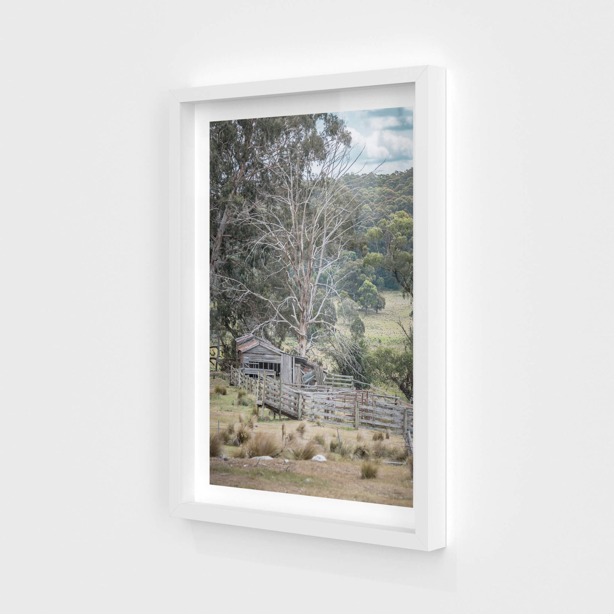 Cattle Yard | A Place to Call Home Fine Art Print - Lost Collective Shop