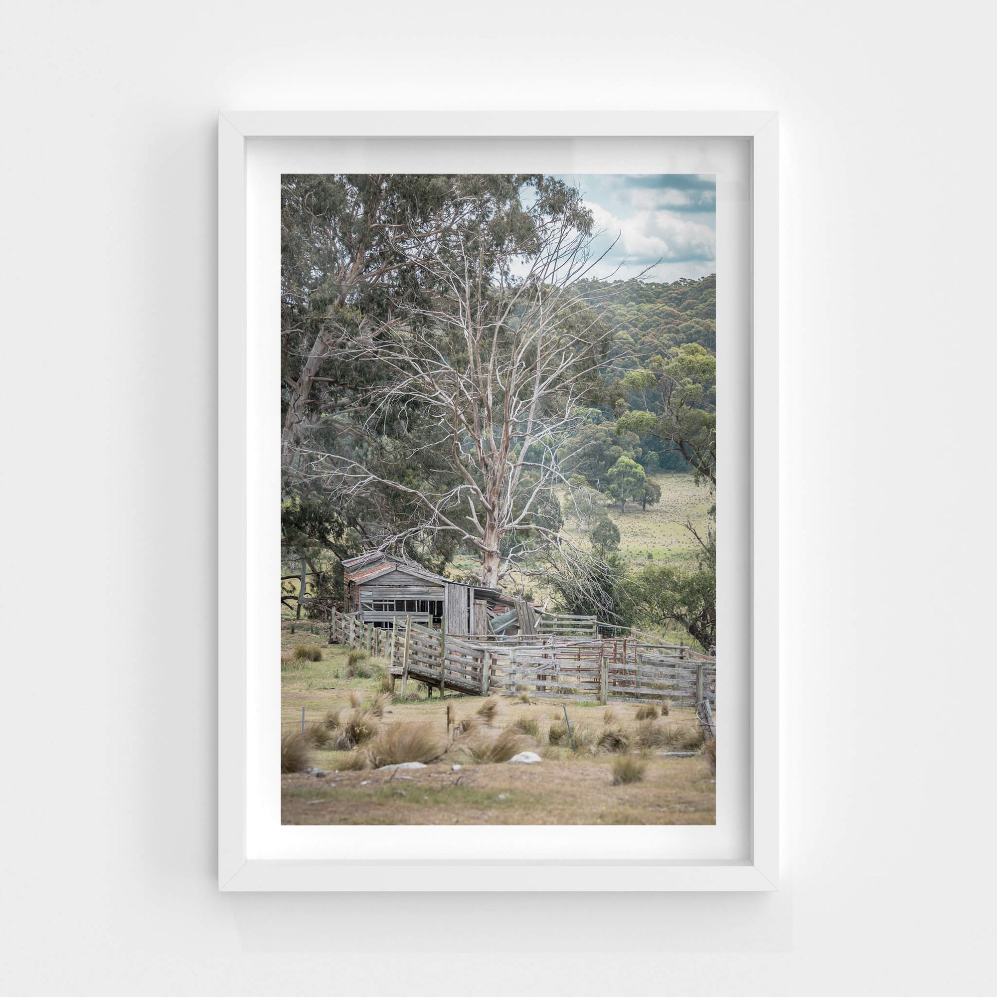 Cattle Yard | A Place to Call Home Fine Art Print - Lost Collective Shop