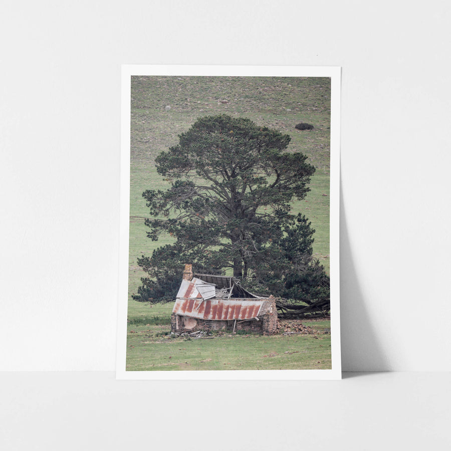 Collapsed Home at A Place to Call Home, a home on a farm beneath a large conifer with a collapsed roof has been succumbing.