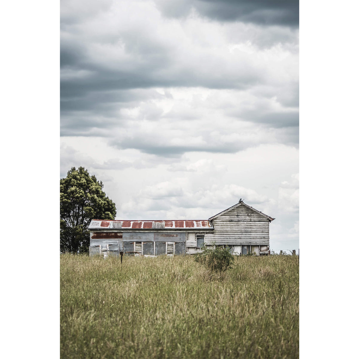 Farm Shed | A Place to Call Home Fine Art Print - Lost Collective Shop