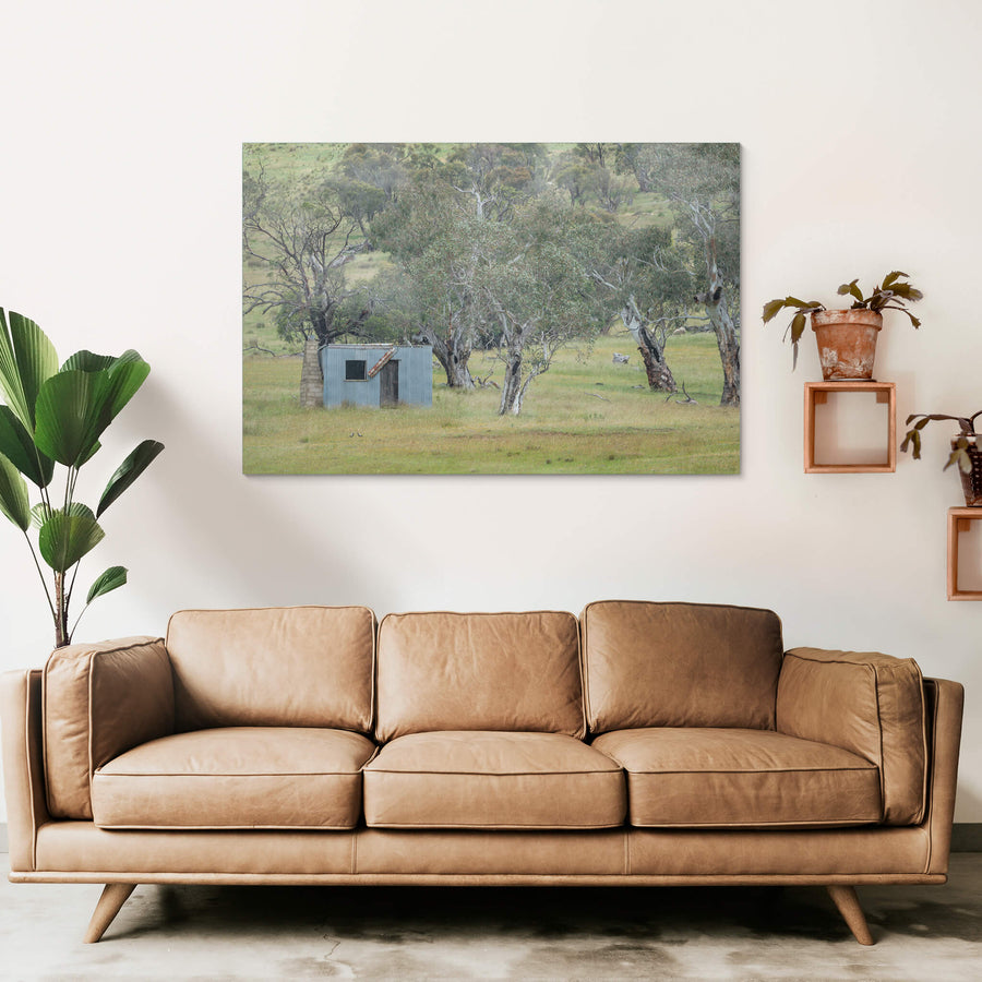 Home Amongst The Gums at A Place to Call Home, a small corrugated iron hut sits low in open grassland, backed by a scatter.