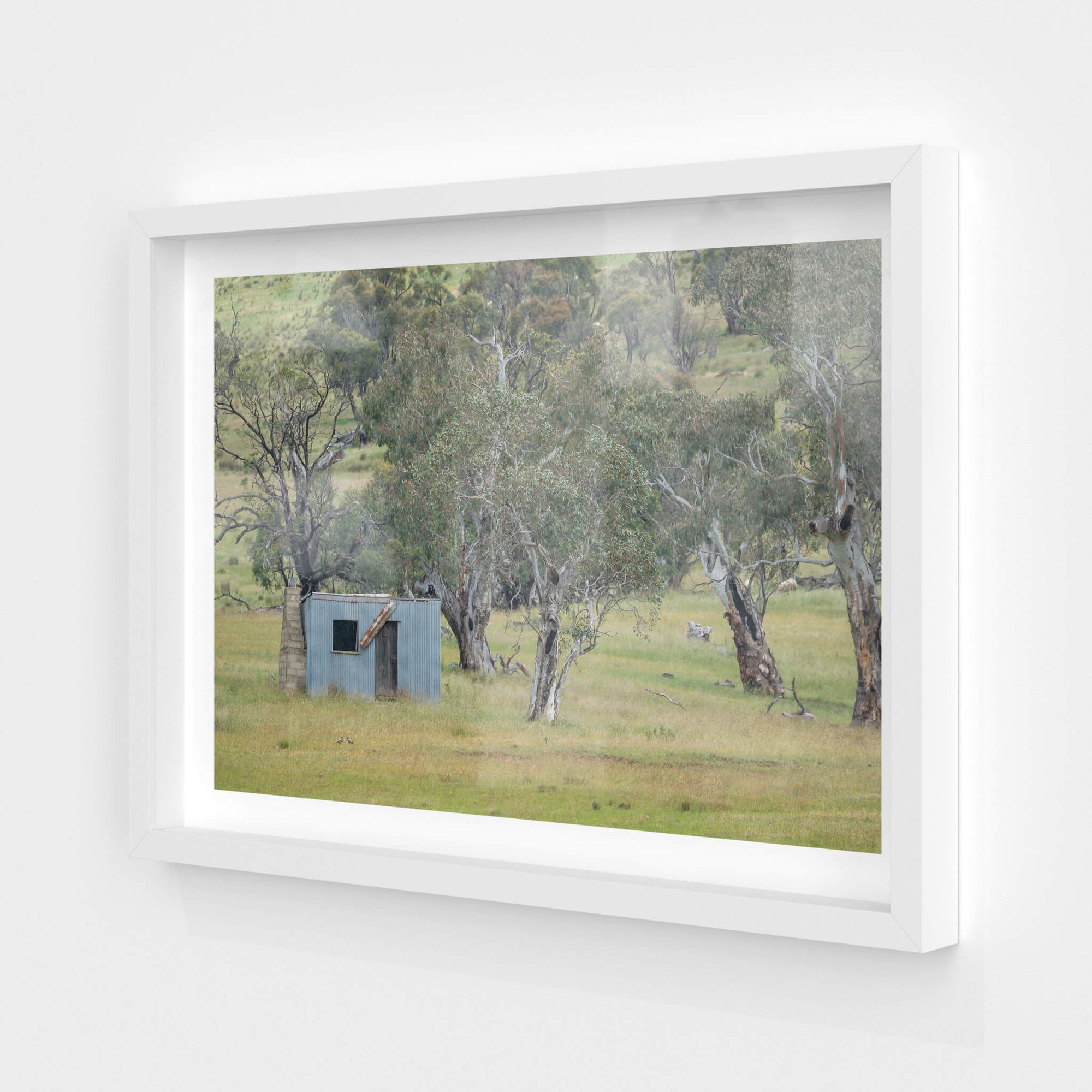 Home Amongst The Gums | A Place to Call Home