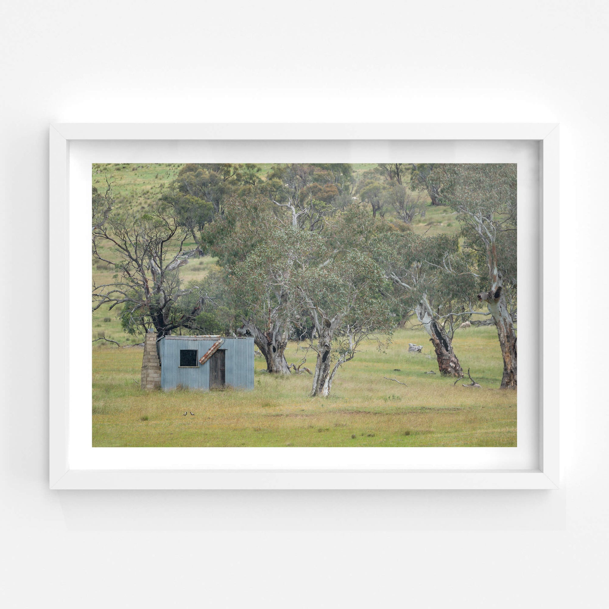 Home Amongst The Gums | A Place to Call Home