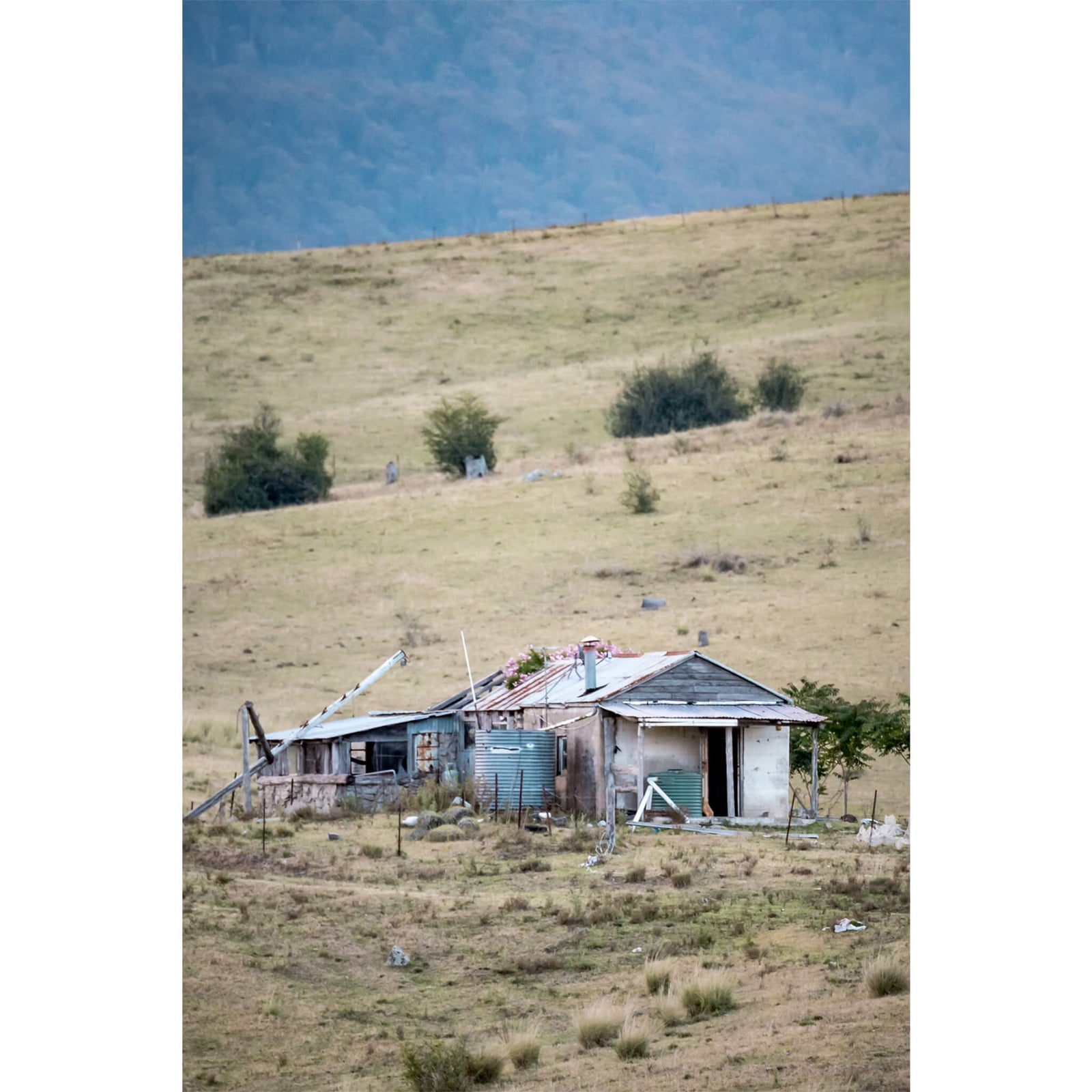 Mogilla Roadside | A Place to Call Home Fine Art Print - Lost Collective Shop