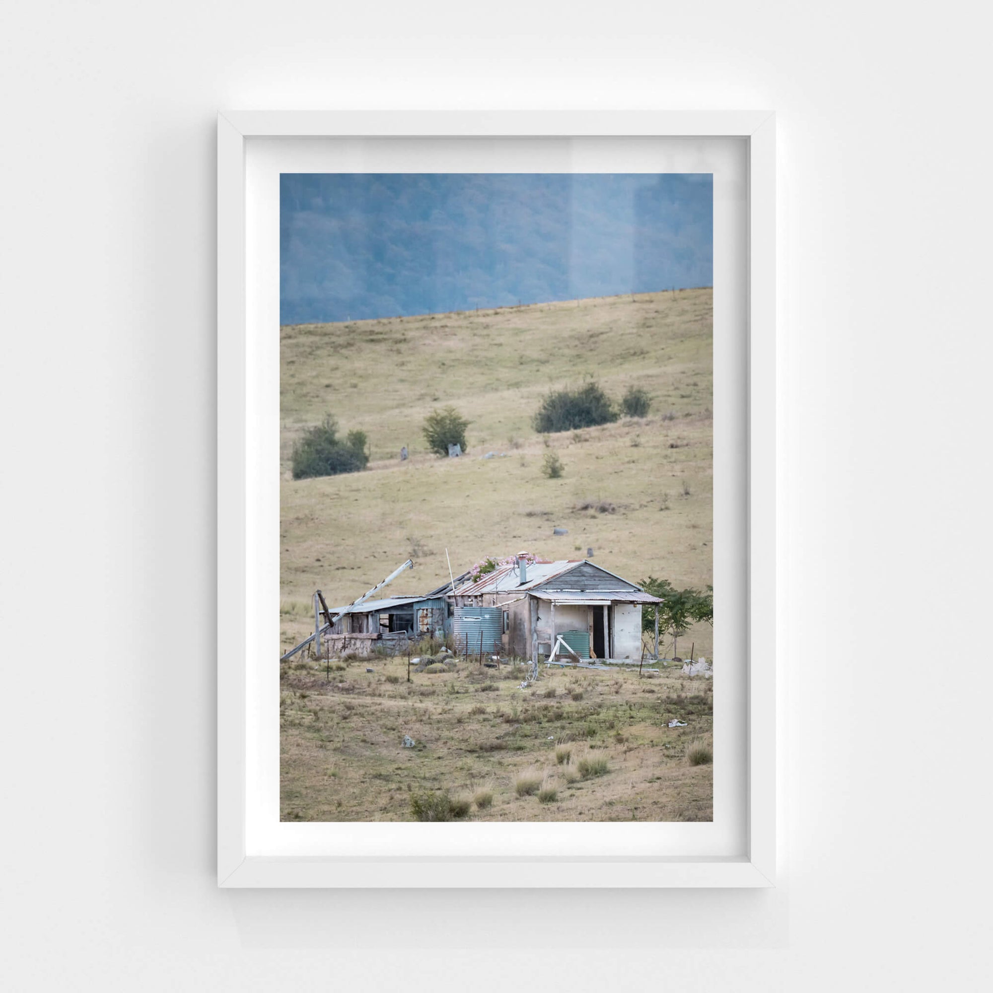 Mogilla Roadside | A Place to Call Home Fine Art Print - Lost Collective Shop