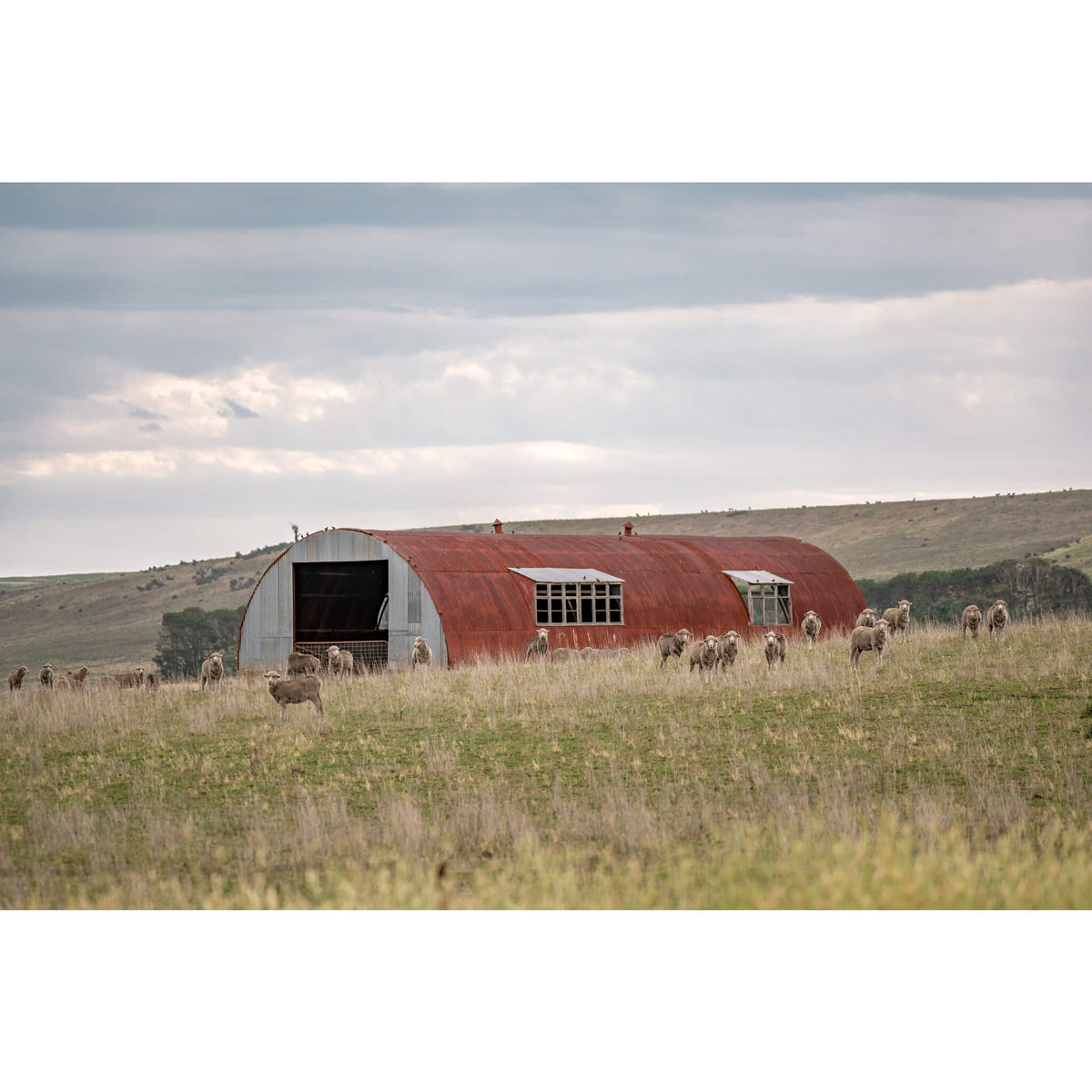 Nissen Hut Barn | A Place To Call Home Fine Art Print - Lost Collective Shop