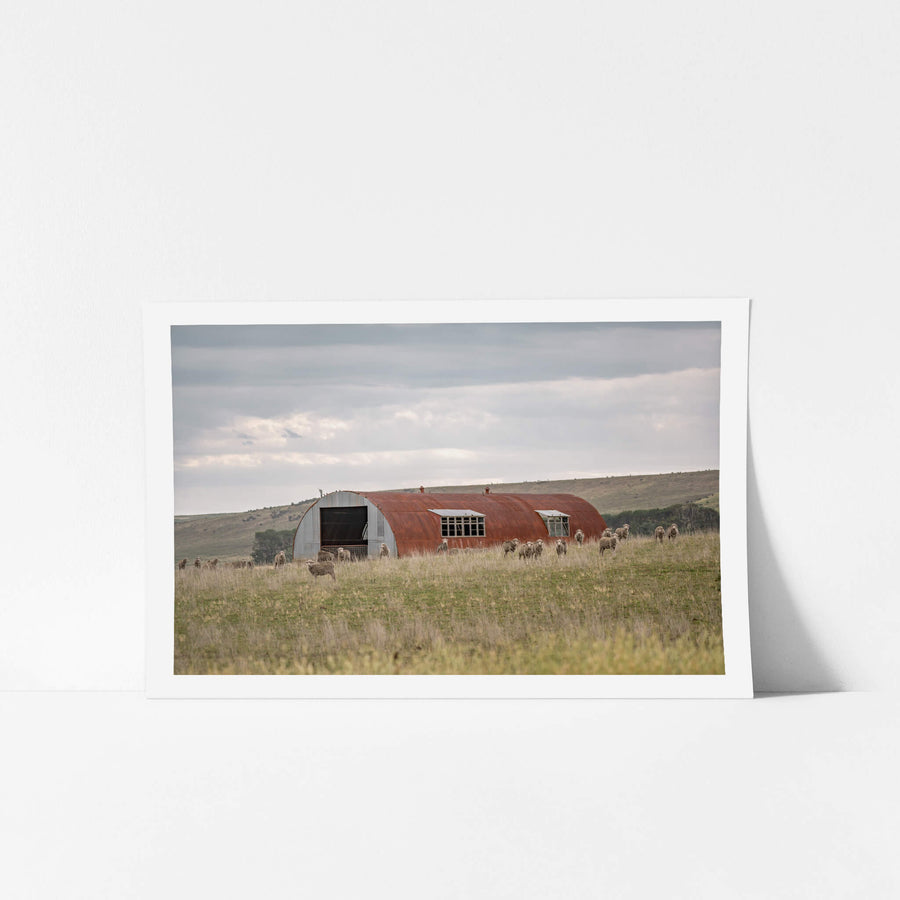 Nissen Hut Barn at A Place to Call Home, an old Nissen Hut which has found a new life as a farm shed.