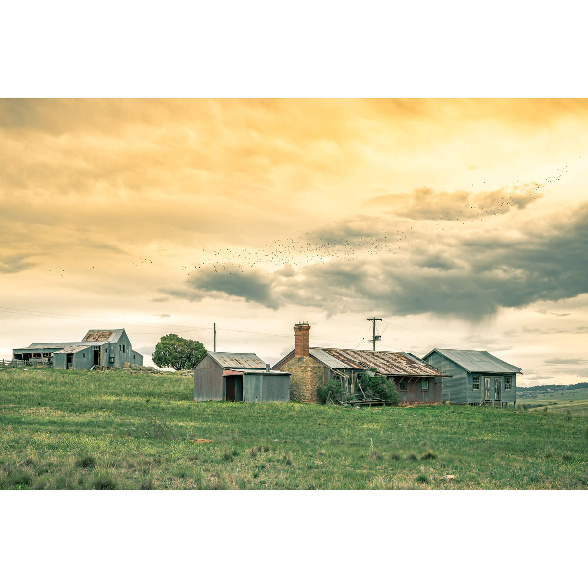Numbla Vale Cottages &amp; Woolshed | A Place To Call Home Fine Art Print - Lost Collective Shop