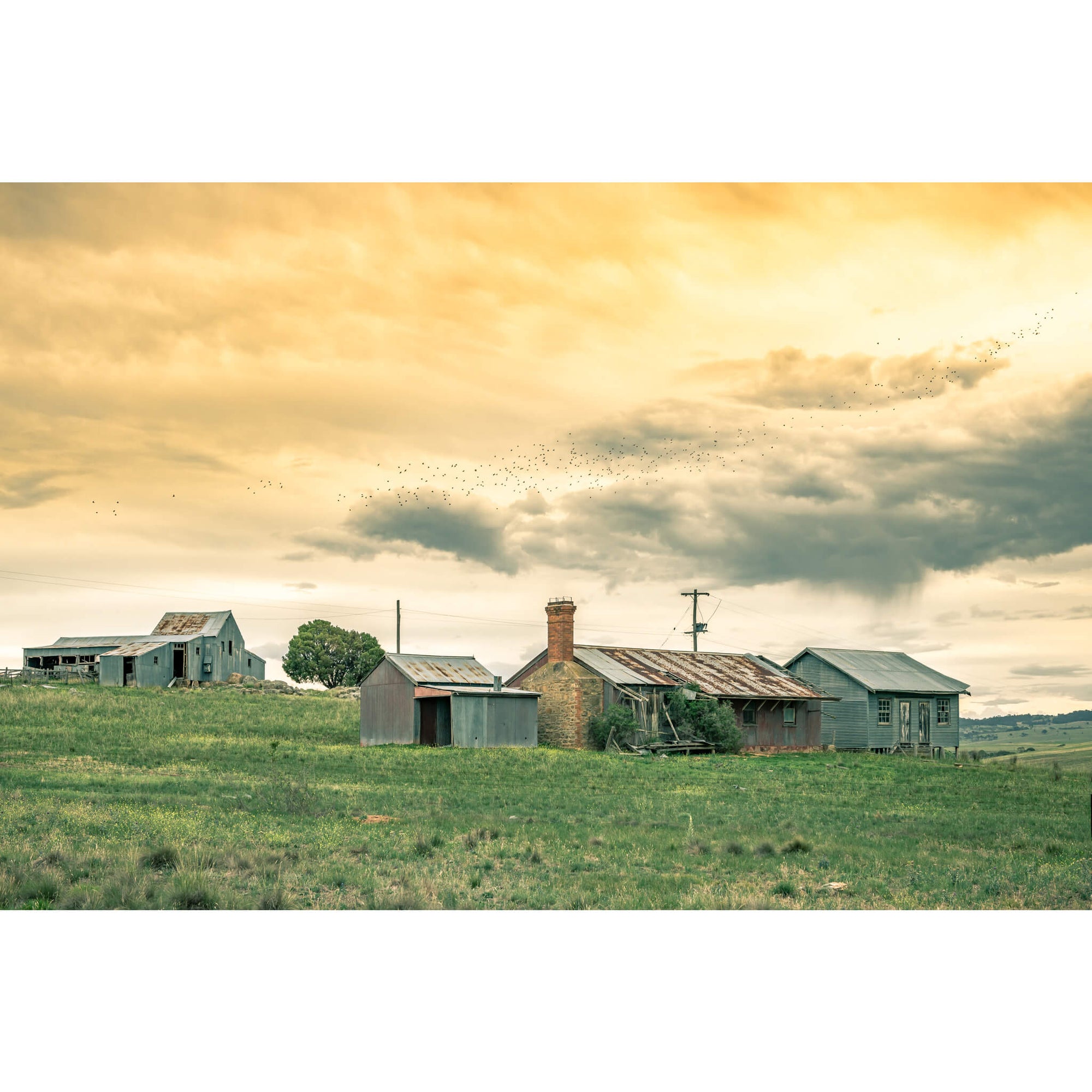 Numbla Vale Cottages & Woolshed | A Place To Call Home Fine Art Print - Lost Collective Shop