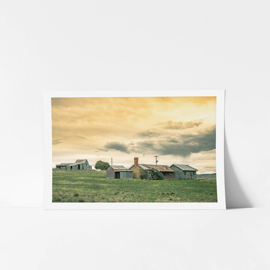 Numbla Vale Cottages & Woolshed at A Place to Call Home, a flock of birds flying above a cluster of farm workers cottages.