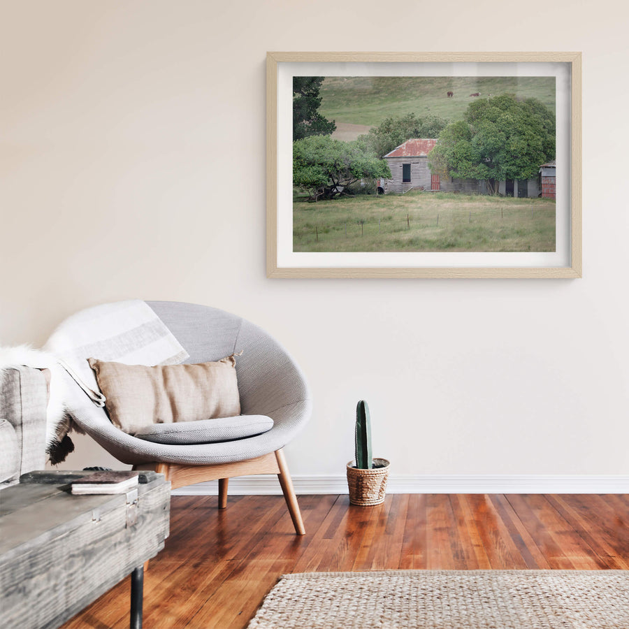 Old Timber Home at A Place to Call Home, a weatherboard cottage sits low in the grass, half-swallowed by mature fruit trees.