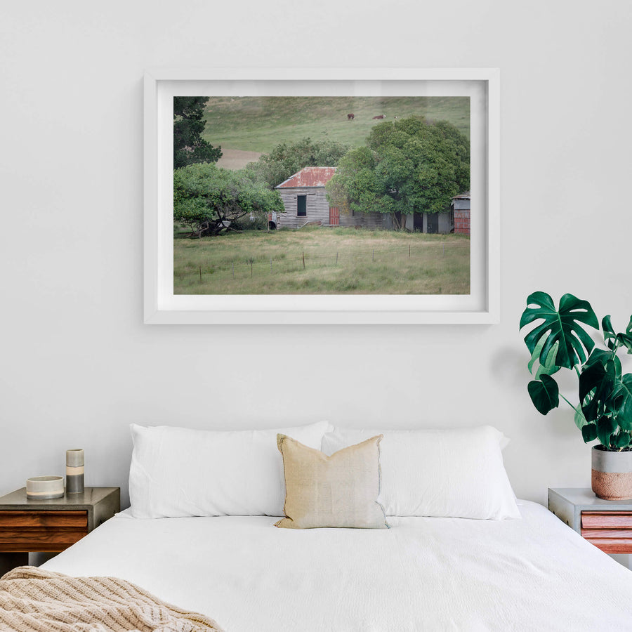 Old Timber Home at A Place to Call Home, a weatherboard cottage sits low in the grass, half-swallowed by mature fruit trees.