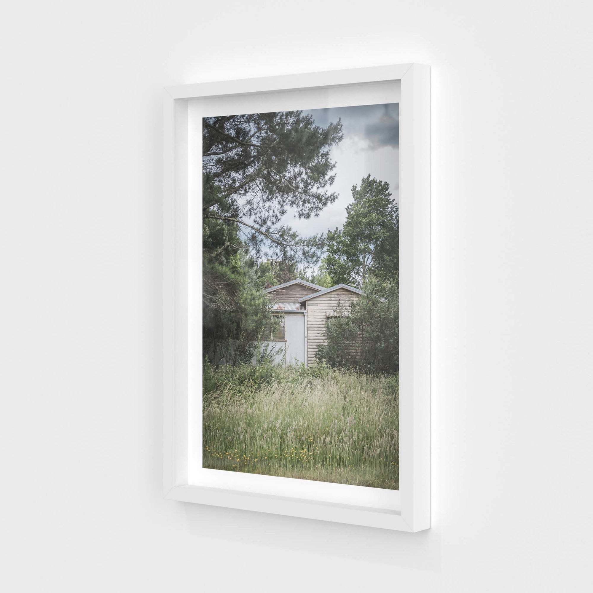 Overgrowth | A Place to Call Home Fine Art Print - Lost Collective Shop