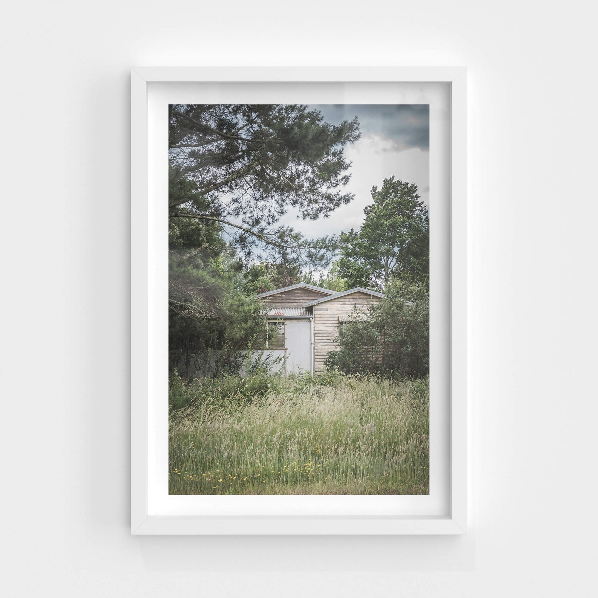 Overgrowth | A Place to Call Home Fine Art Print - Lost Collective Shop