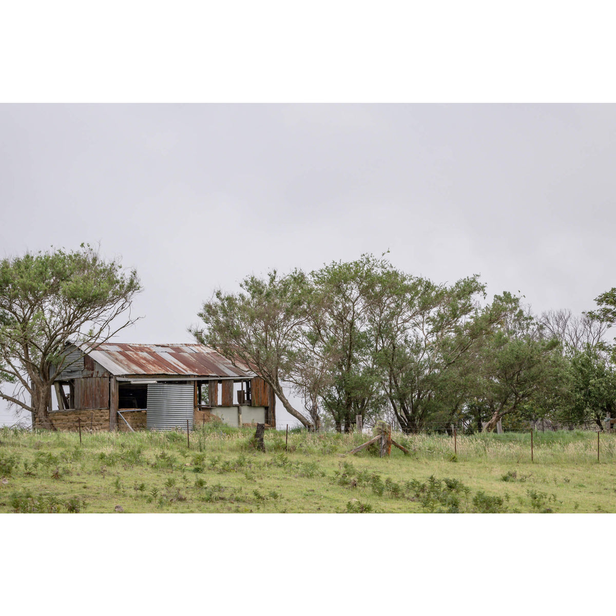 Rocky Hall Hills Hut | A Place to Call Home