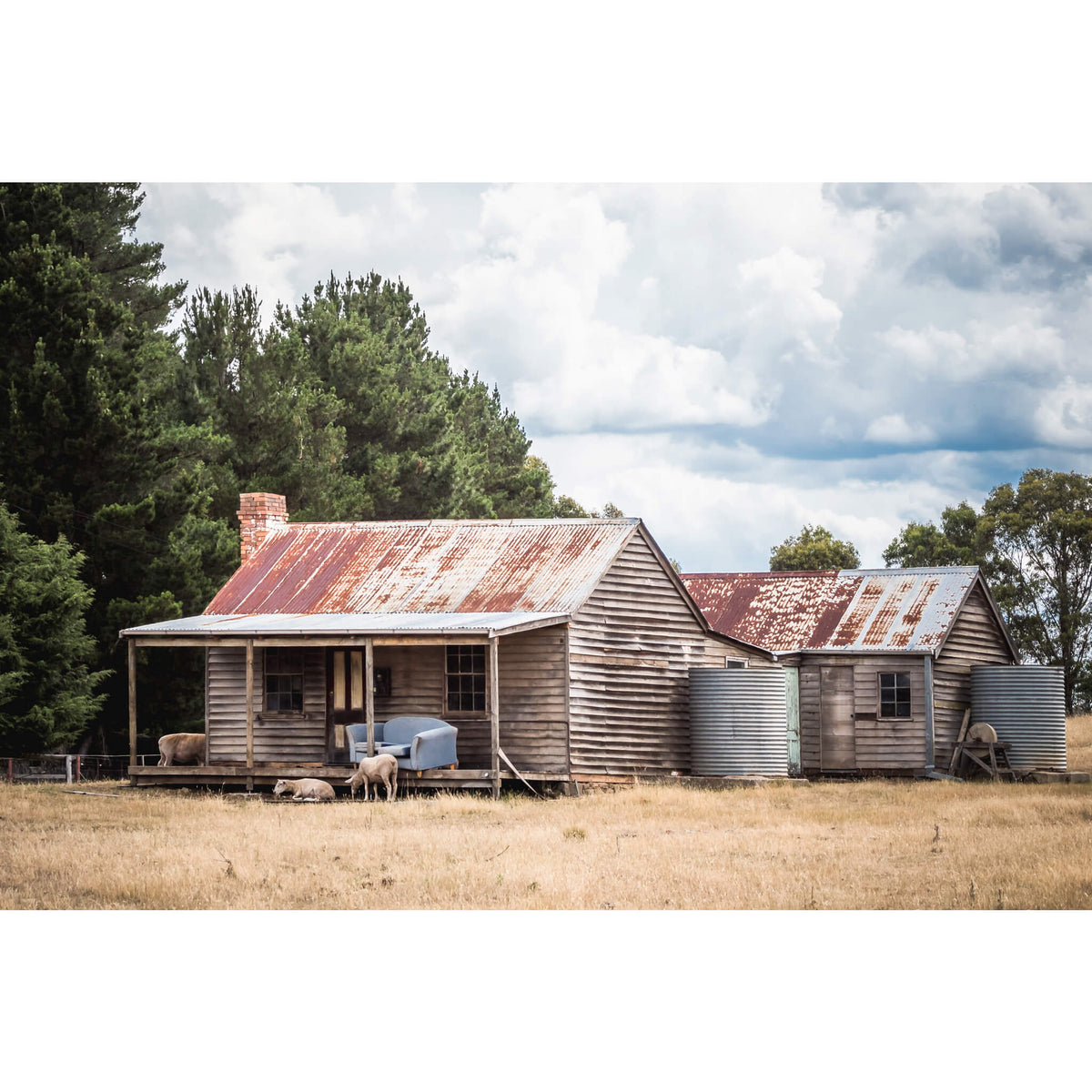 Sheep By The Porch | A Place to Call Home Fine Art Print - Lost Collective Shop