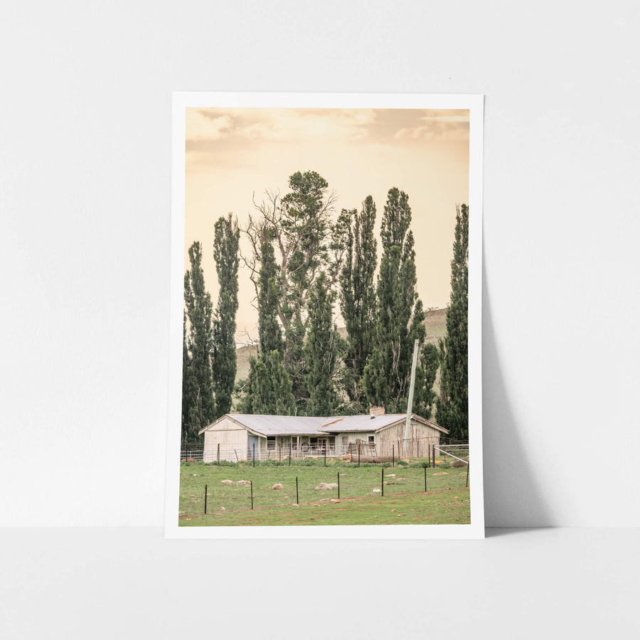 Snowy River Shearers Quarters at A Place to Call Home, a low timber and corrugated iron shearing shed sits behind steel.