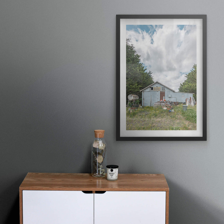 Talbots Place at A Place to Call Home, a pale blue corrugated iron shed sits in overgrown grass thick with yellow.
