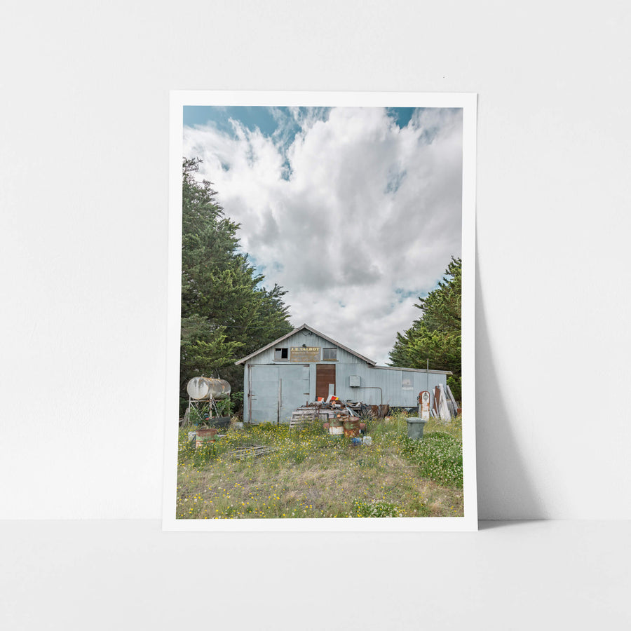 Talbots Place at A Place to Call Home, a pale blue corrugated iron shed sits in overgrown grass thick with yellow.